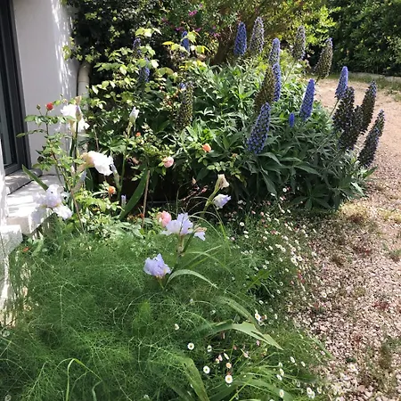 Joli F3 , 4 Pers, Mahana , Plein Pied Sur Jardin , Domaine Prive Criques Et Plages A Pied Daire