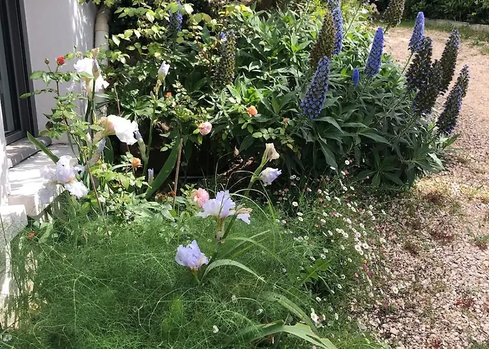 Joli F3 , 4 Pers, Mahana , Plein Pied Sur Jardin , Domaine Prive Criques Et Plages A Pied Lejlighed