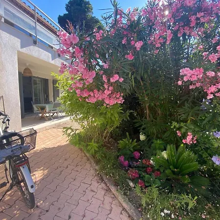 Joli F3 , 4 Pers, Mahana , Plein Pied Sur Jardin , Domaine Prive Criques Et Plages A Pied Apartment