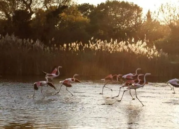 Joli F3 , 4 Pers, Mahana , Plein Pied Sur Jardin , Domaine Prive Criques Et Plages A Pied