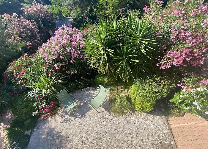 Joli F3 , 4 Pers, Mahana , Plein Pied Sur Jardin , Domaine Prive Criques Et Plages A Pied Apartment