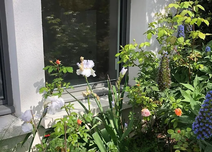 Apartment Joli F3 , 4 Pers, Mahana , Plein Pied Sur Jardin , Domaine Prive Criques Et Plages A Pied *