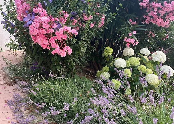 Joli F3 , 4 Pers, Mahana , Plein Pied Sur Jardin , Domaine Prive Criques Et Plages A Pied *